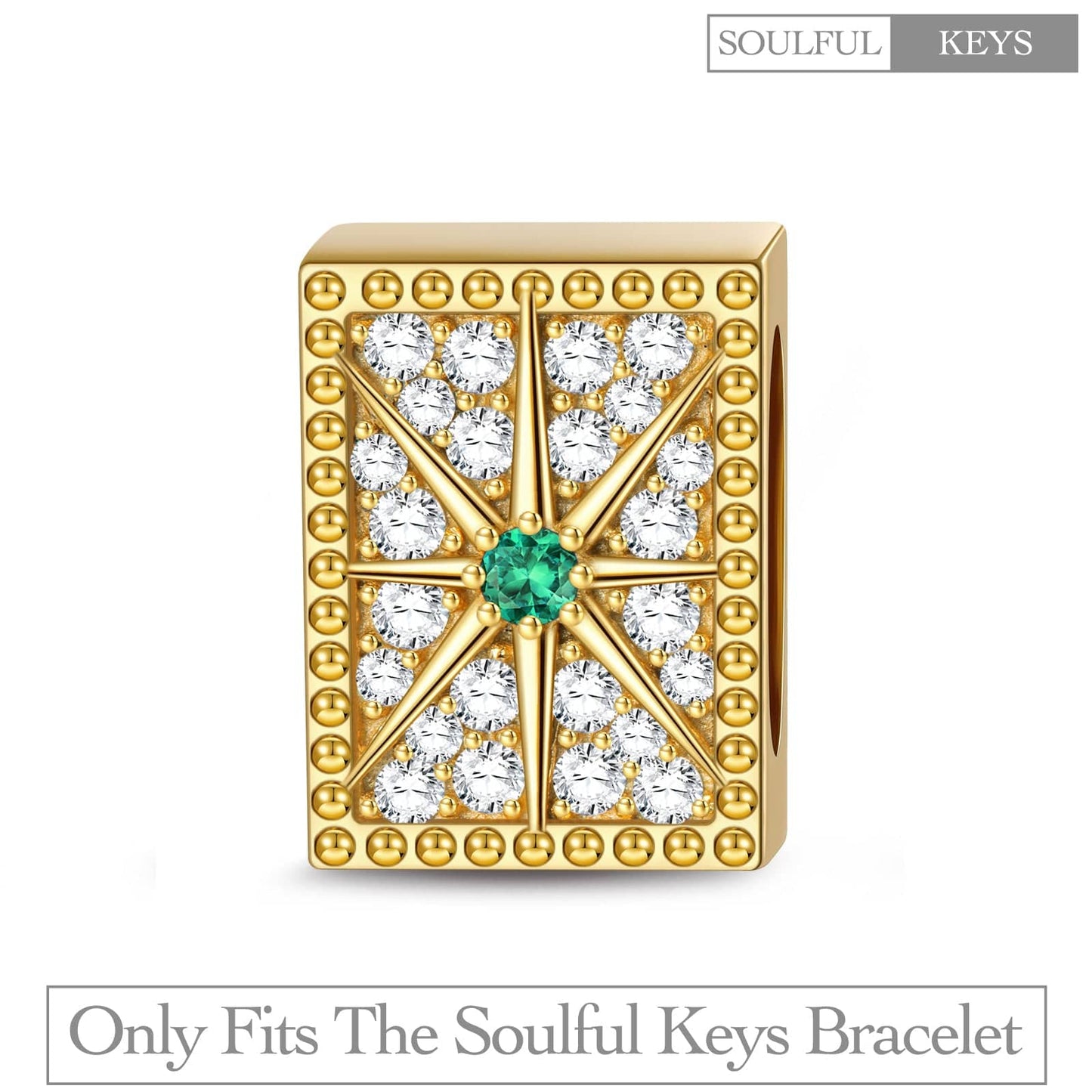 Shining Octagram Tarnish-resistant Silver Rectangular Charms In 14K Gold Plated