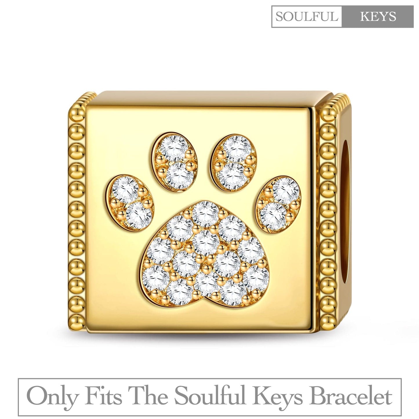 Lovely Paw Tarnish-resistant Silver Rectangular Charms In 14K Gold Plated