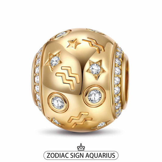gona- Aquarius Tarnish-resistant Silver Constellation Charms In 14K Gold Plated