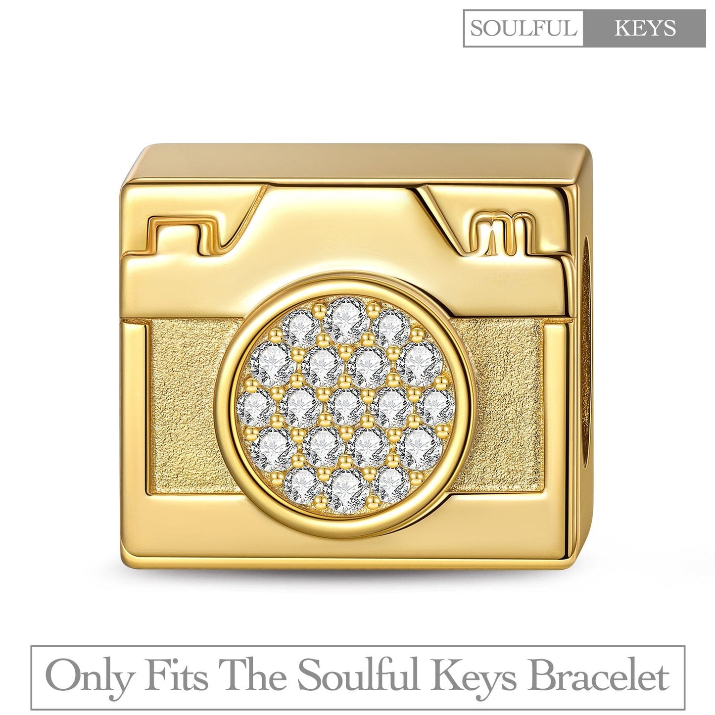 Beauty Captured Tarnish-resistant Silver Rectangular Charms In 14K Gold Plated