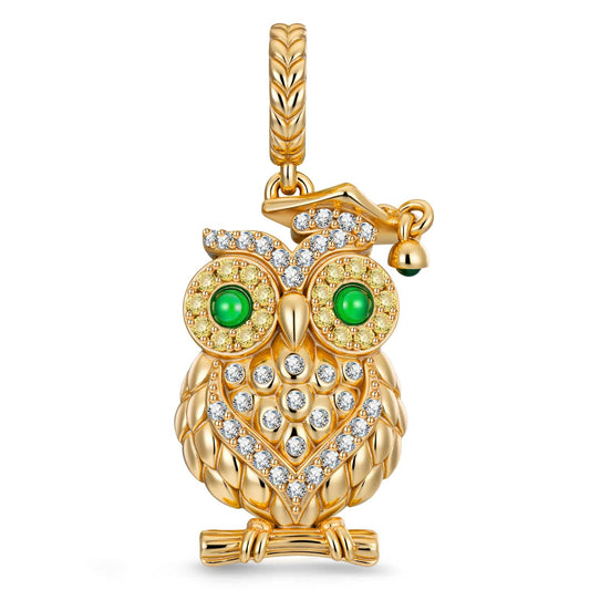 gona- Happy Graduation Owl Tarnish-resistant Silver Charms In 14K Gold Plated