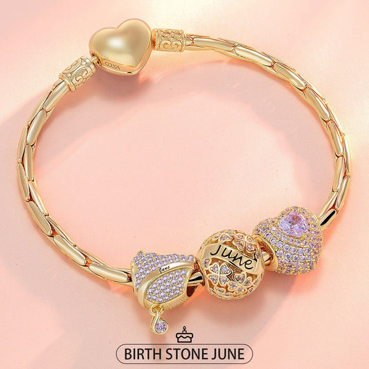 gona- Sterling Silver June Birthday Stone Charms Bracelet Set In 14K Gold Plated (Includes bracelet and all charms shown)