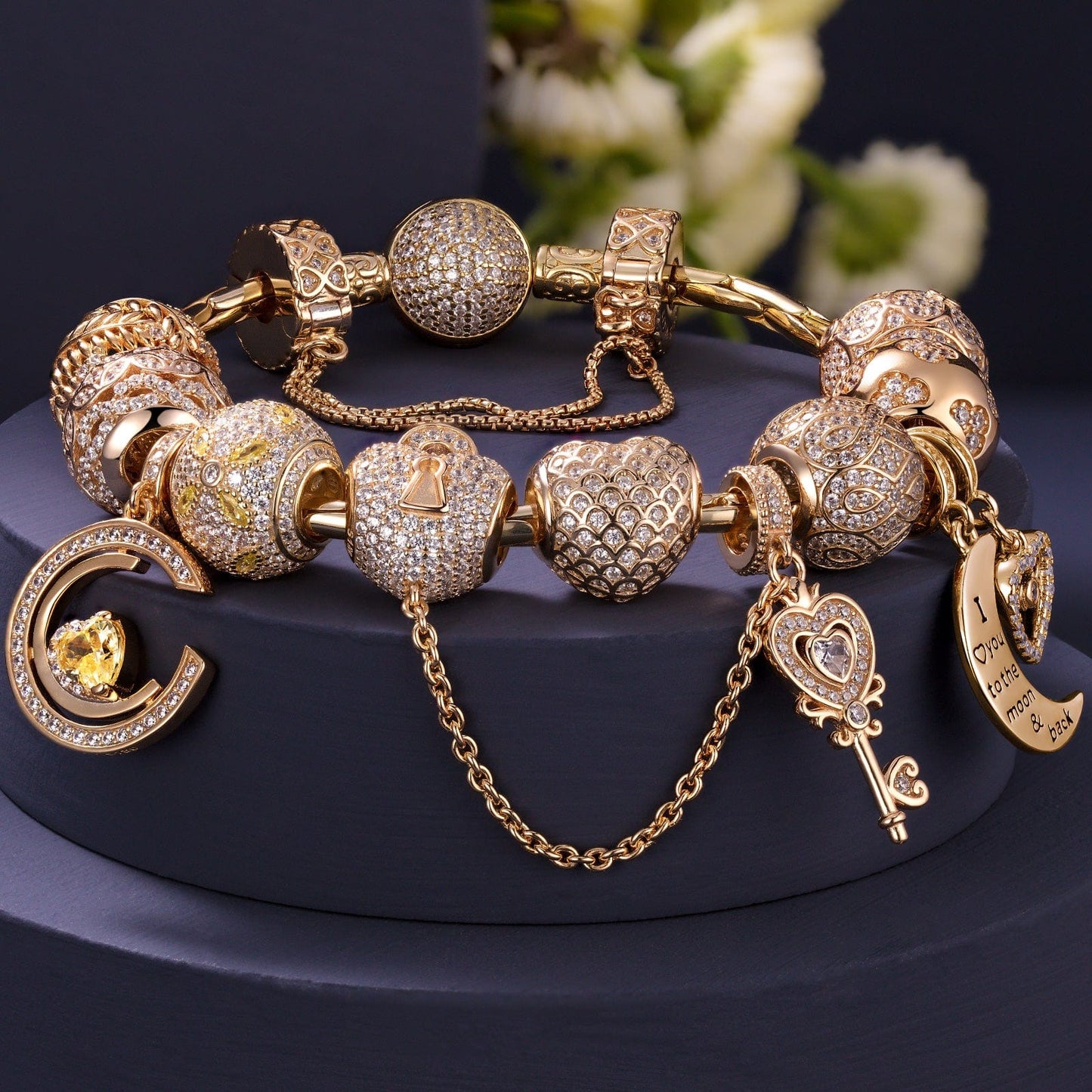 Sterling Silver Precious Connection Charms Bracelet Set In 14K Gold Plated (Includes bracelet and all charms shown)